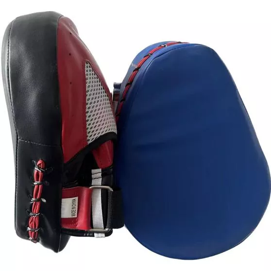 Trainer using focus mitts during combination strike practice